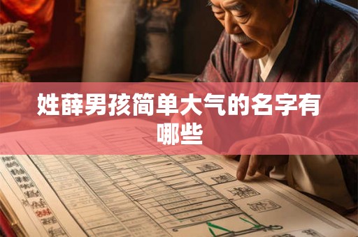 姓薛男孩简单大气的名字有哪些
