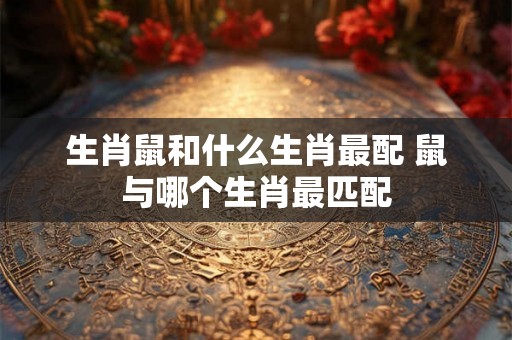 生肖鼠和什么生肖最配 鼠与哪个生肖最匹配