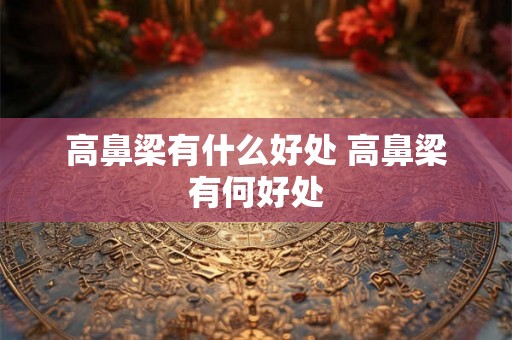 高鼻梁有什么好处 高鼻梁有何好处