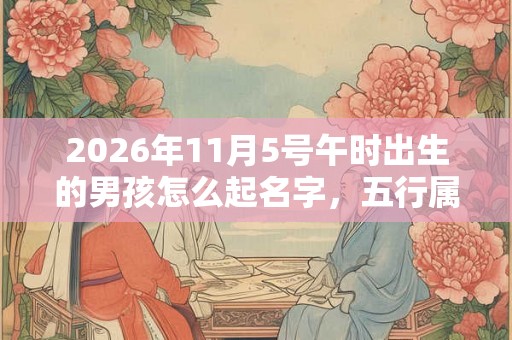 2026年11月5号午时出生的男孩怎么起名字,五行属什么 2026年11月5号午时出生的男孩怎么起名字,五行属什么