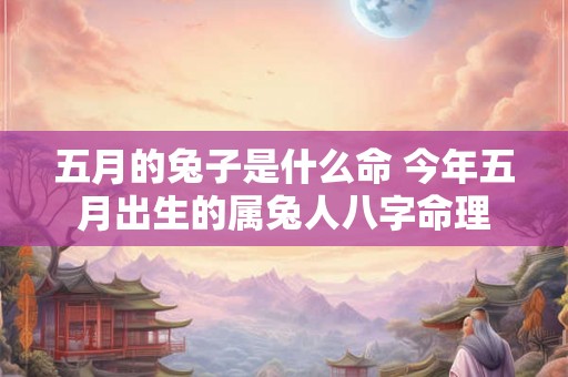 五月的兔子是什么命 今年五月出生的属兔人八字命理
