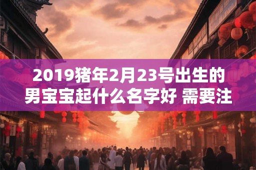 2019猪年2月23号出生的男宝宝起什么名字好 需要注意什么 2019猪年2月23号出生的男宝宝起什么名字好 需要注意什么