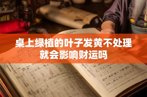 桌上绿植的叶子发黄不处理就会影响财运吗