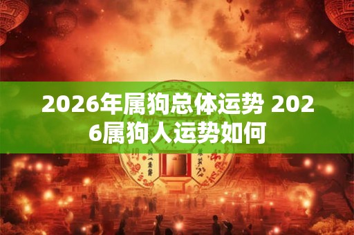 2026年属狗总体运势 2026属狗人运势如何