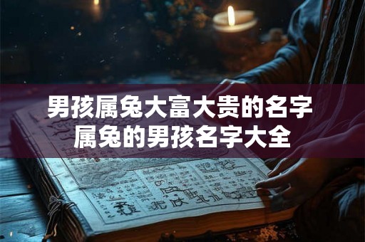 男孩属兔大富大贵的名字 属兔的男孩名字大全