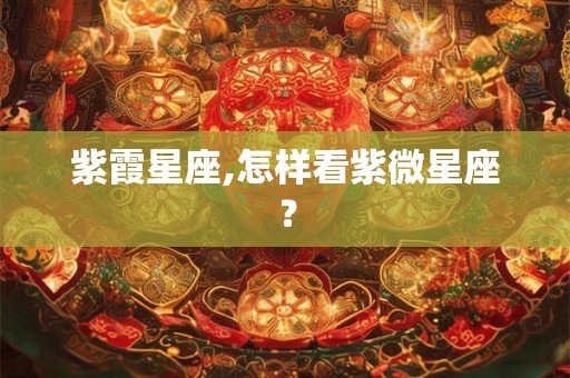 紫霞星座,怎样看紫微星座？