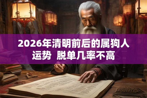 2026年清明前后的属狗人运势 脱单几率不高 2026年清明前后的属狗人运势 脱单几率不高