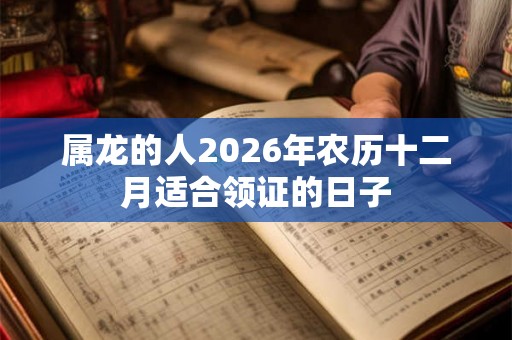 属龙的人2026年农历十二月适合领证的日子