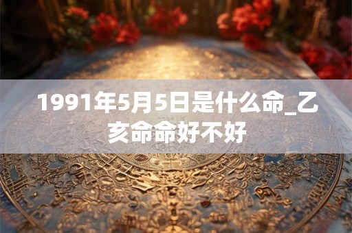 1991年5月5日是什么命_乙亥命命好不好