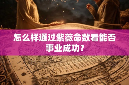 怎么样通过紫薇命数看能否事业成功？
