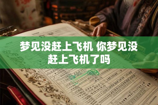 梦见没赶上飞机 你梦见没赶上飞机了吗