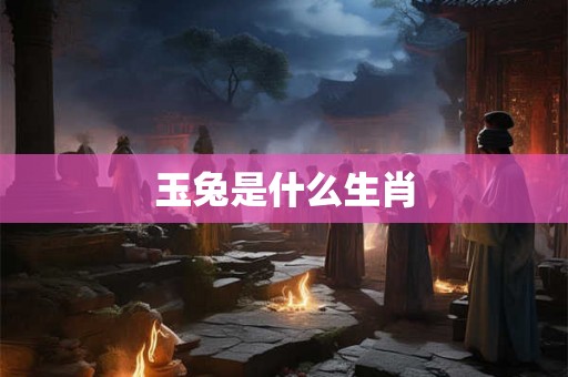 玉兔是什么生肖