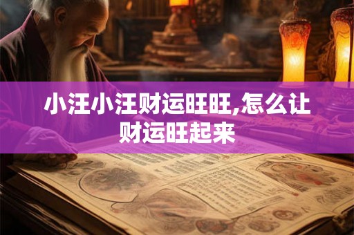 小汪小汪财运旺旺,怎么让财运旺起来