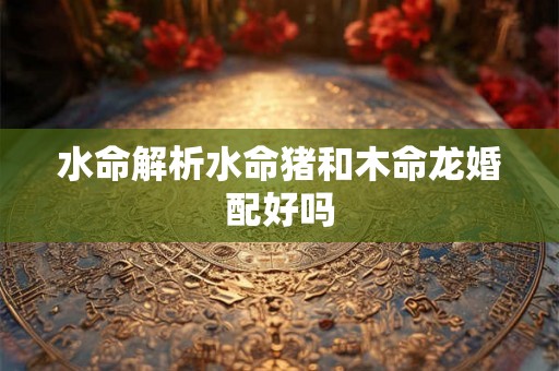 水命解析水命猪和木命龙婚配好吗 水命解析水命猪和木命龙婚配好吗