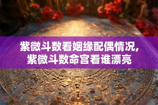 紫微斗数看姻缘配偶情况,紫微斗数命宫看谁漂亮