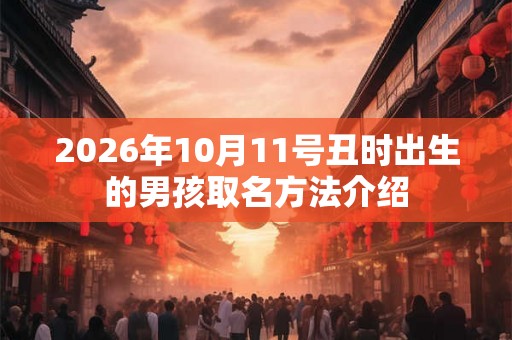 2026年10月11号丑时出生的男孩取名方法介绍