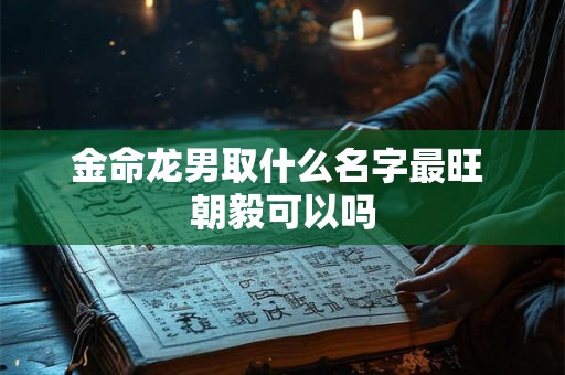 金命龙男取什么名字最旺 朝毅可以吗