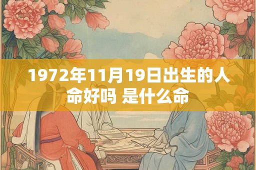 1972年11月19日出生的人命好吗 是什么命
