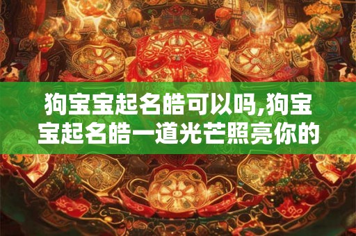 狗宝宝起名皓可以吗,狗宝宝起名皓一道光芒照亮你的生活