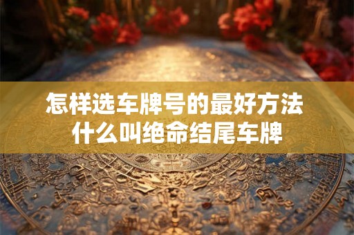 怎样选车牌号的最好方法 什么叫绝命结尾车牌