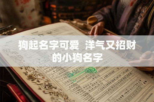 狗起名字可爱  洋气又招财的小狗名字