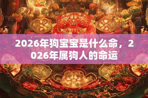 2026年狗宝宝是什么命，2026年属狗人的命运