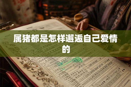 属猪都是怎样邂逅自己爱情的