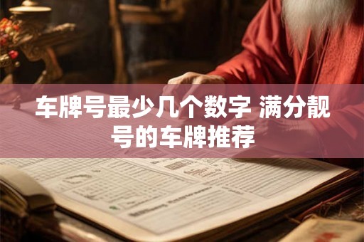车牌号最少几个数字 满分靓号的车牌推荐