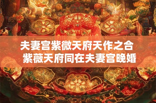 夫妻宫紫微天府天作之合 紫薇天府同在夫妻宫晚婚 夫妻宫紫微天府天作之合 紫薇天府同在夫妻宫晚婚