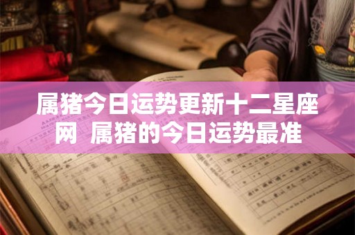 属猪今日运势更新十二星座网  属猪的今日运势最准