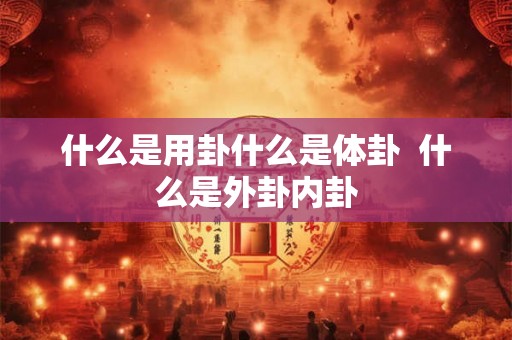 什么是用卦什么是体卦  什么是外卦内卦