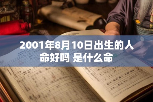 2001年8月10日出生的人命好吗 是什么命