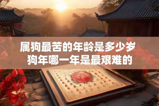 属狗最苦的年龄是多少岁 狗年哪一年是最艰难的