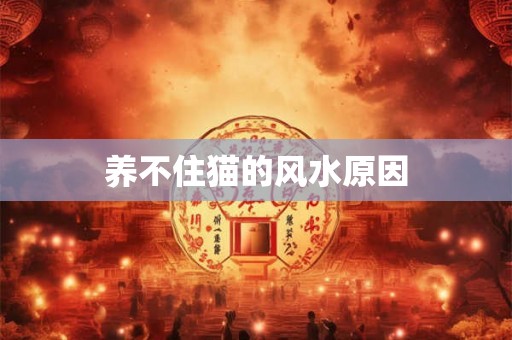 养不住猫的风水原因 养不住猫的风水原因