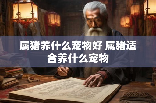 属猪养什么宠物好 属猪适合养什么宠物