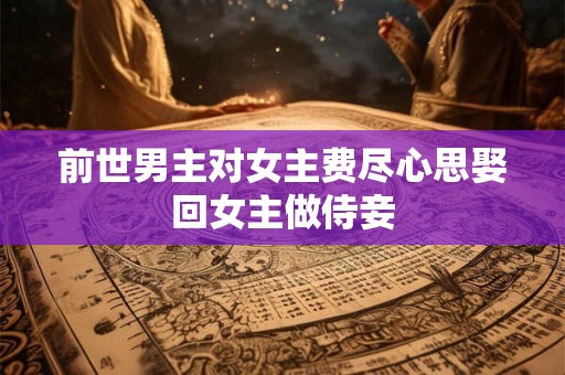 前世男主对女主费尽心思娶回女主做侍妾