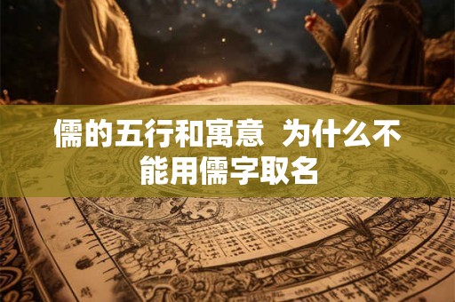 儒的五行和寓意  为什么不能用儒字取名