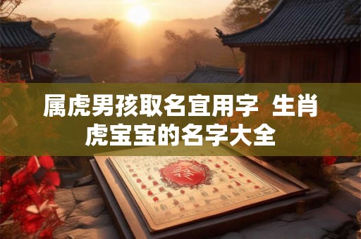 属虎男孩取名宜用字  生肖虎宝宝的名字大全