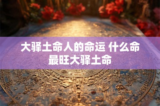 大驿土命人的命运 什么命最旺大驿土命