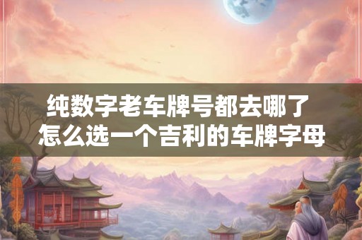 纯数字老车牌号都去哪了 怎么选一个吉利的车牌字母 纯数字老车牌号都去哪了 怎么选一个吉利的车牌字母