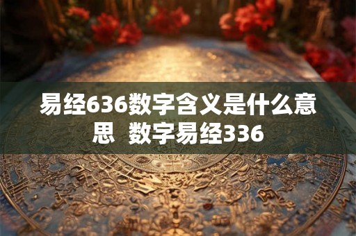 易经636数字含义是什么意思  数字易经336