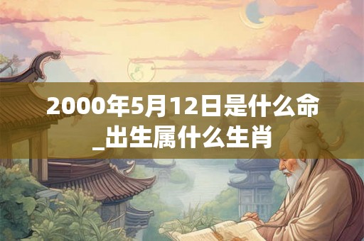2000年5月12日是什么命_出生属什么生肖