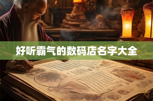 好听霸气的数码店名字大全