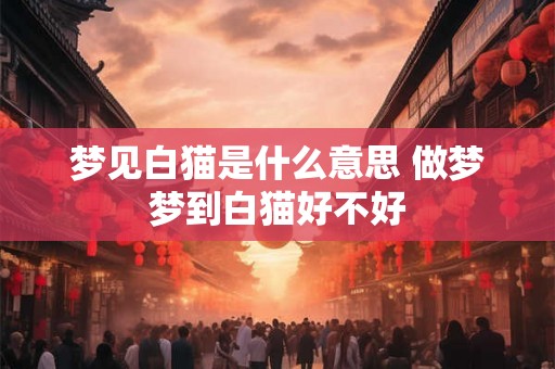 梦见白猫是什么意思 做梦梦到白猫好不好