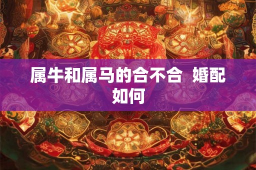 属牛和属马的合不合 婚配如何 属牛和属马的合不合 婚配如何
