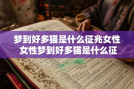 梦到好多猫是什么征兆女性 女性梦到好多猫是什么征兆 梦到好多猫是什么征兆女性 女性梦到好多猫是什么征兆