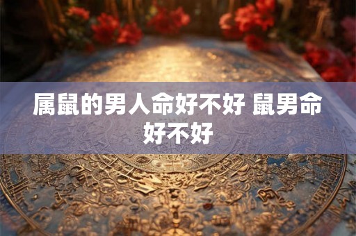 属鼠的男人命好不好 鼠男命好不好