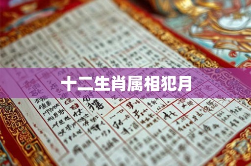 十二生肖属相犯月