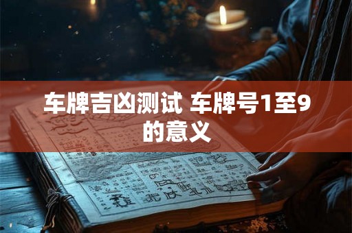车牌吉凶测试 车牌号1至9的意义