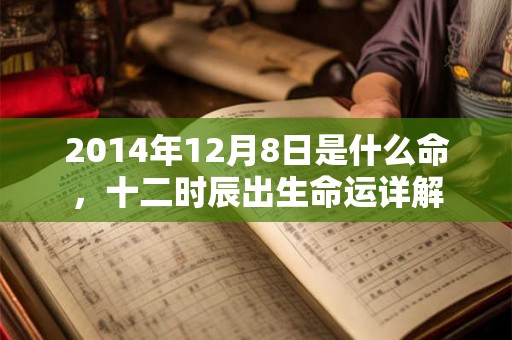 2014年12月8日是什么命，十二时辰出生命运详解